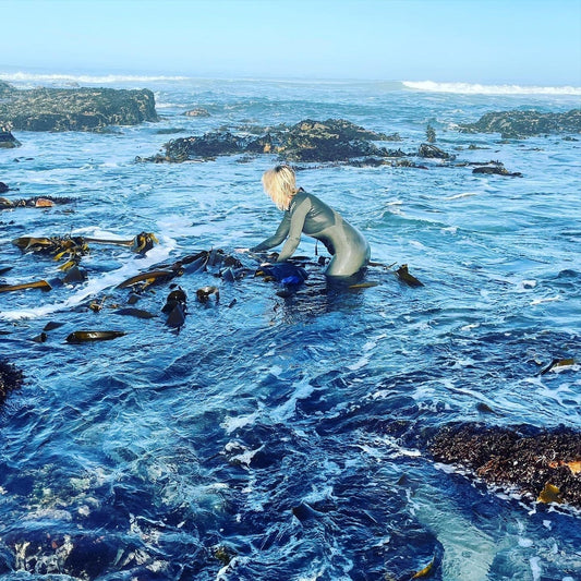 Saved by Seaweed