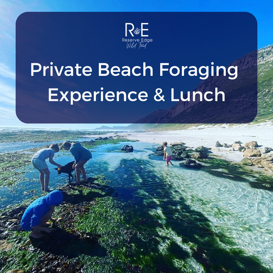 Private Coastal Foraging & Cooking Workshop