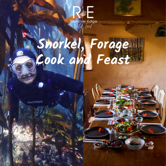 Snorkel, Forage, Cook and Lunch