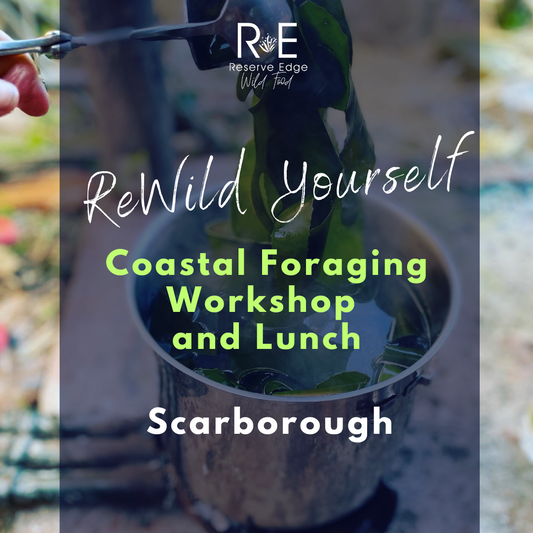 Coastal Foraging Workshop & Lunch - 22nd November