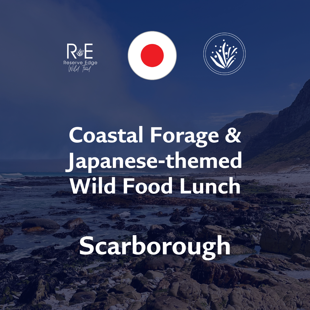 Coastal Foraging Experience & Japanese Wild Food Lunch - 26th April