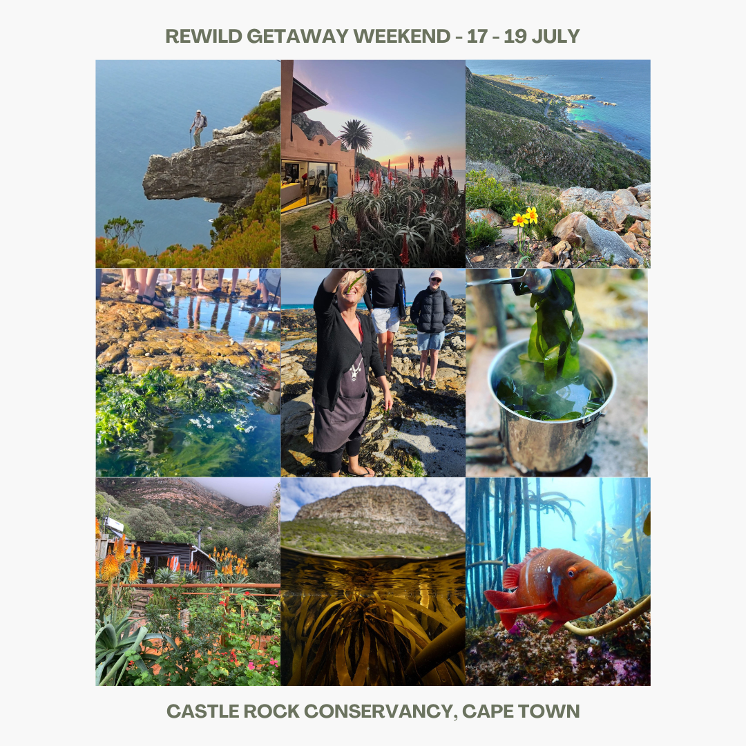 ReWild Getaway Weekend Special