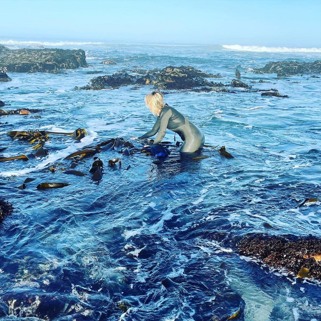 Saved by Seaweed