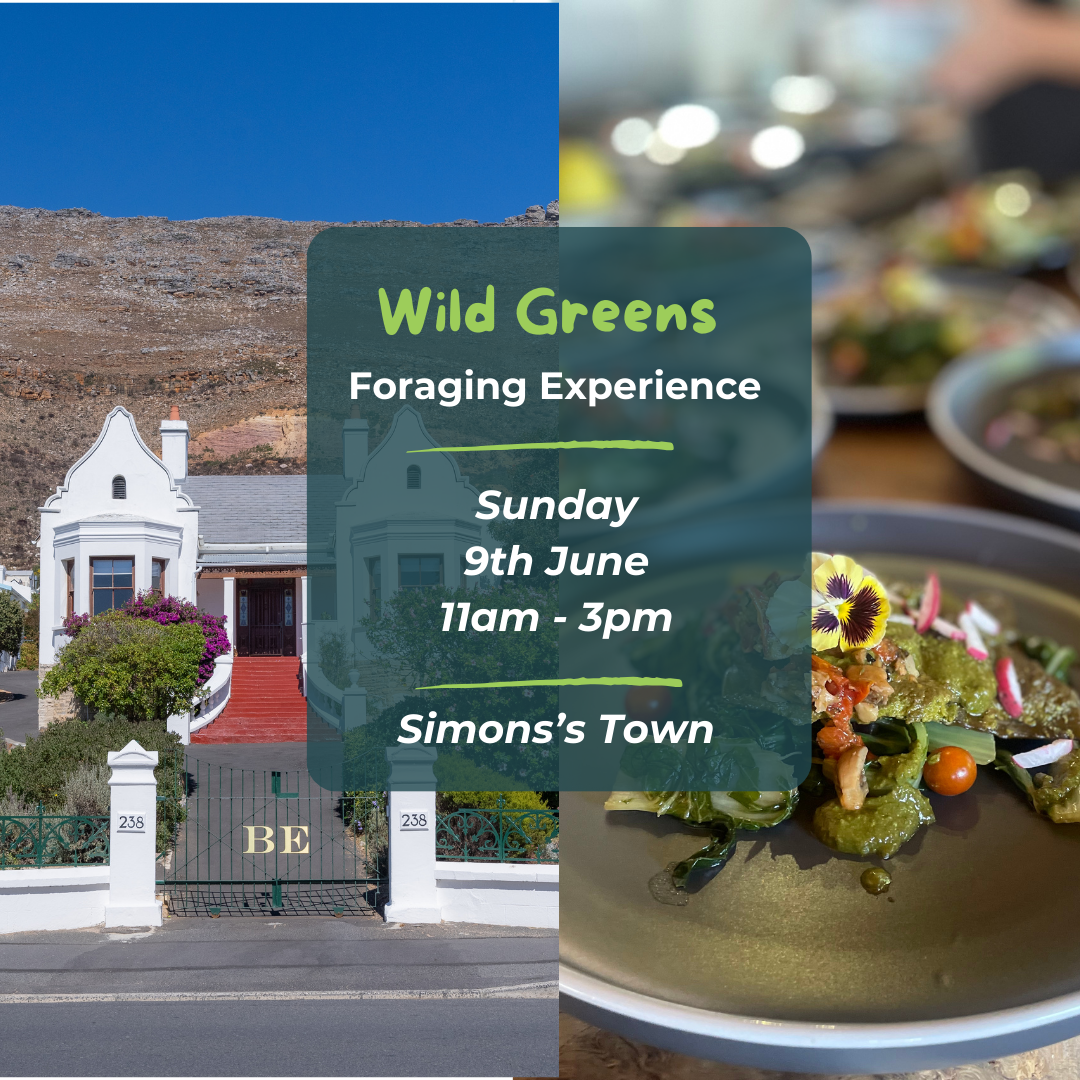 Simon's Town Wild Greens Foraging Experience - 9th June