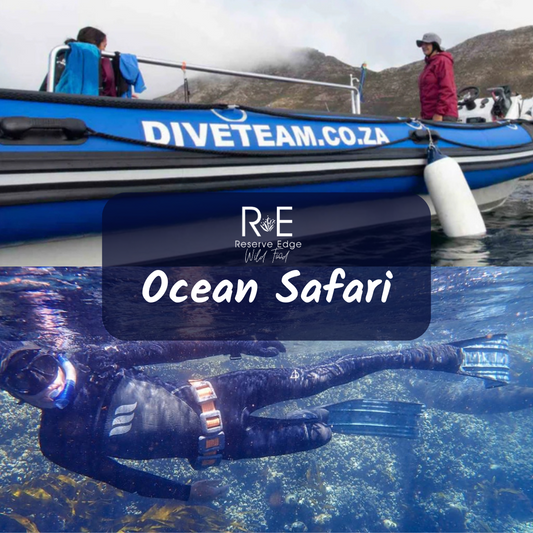 Ocean Safari - Boat, Dive, forage, picnic