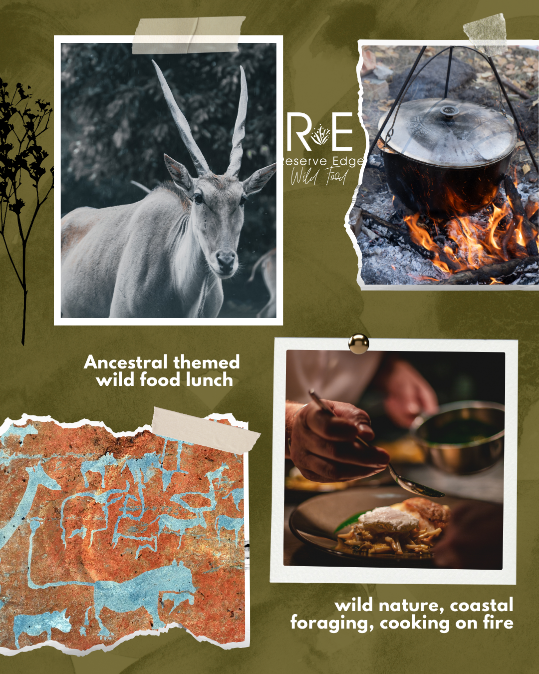 Ancestral-themed wild food forage and lunch - 27th September