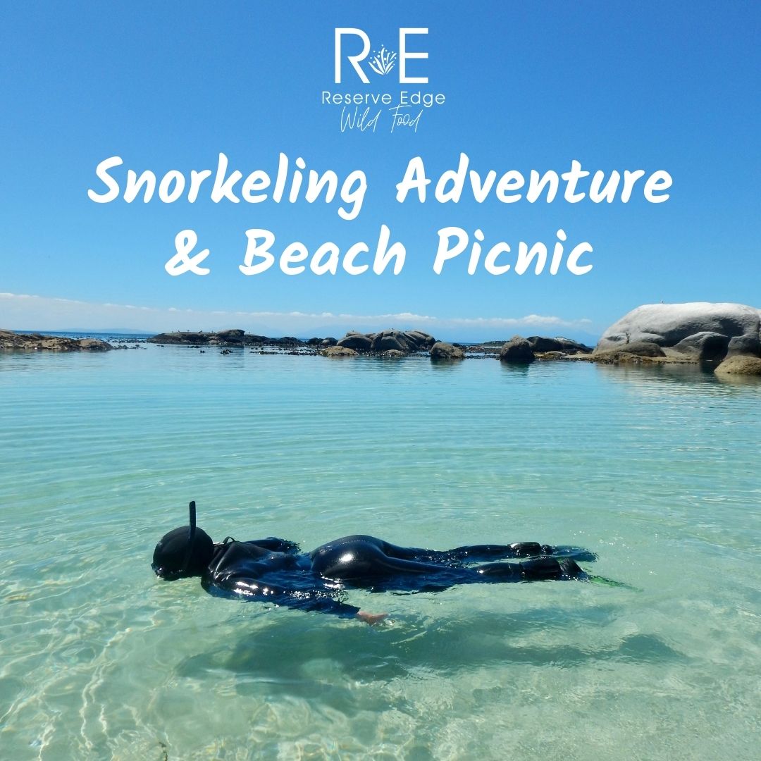 Snorkelling Adventure and Picnic