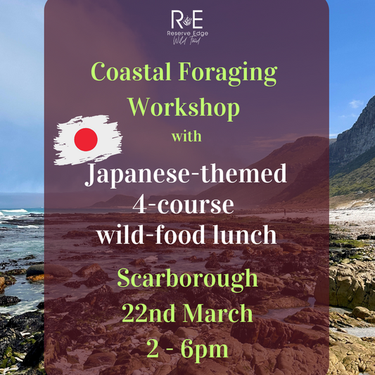 A Coastal Foraging Experience & Japanese Wild Food Lunch - 22nd March