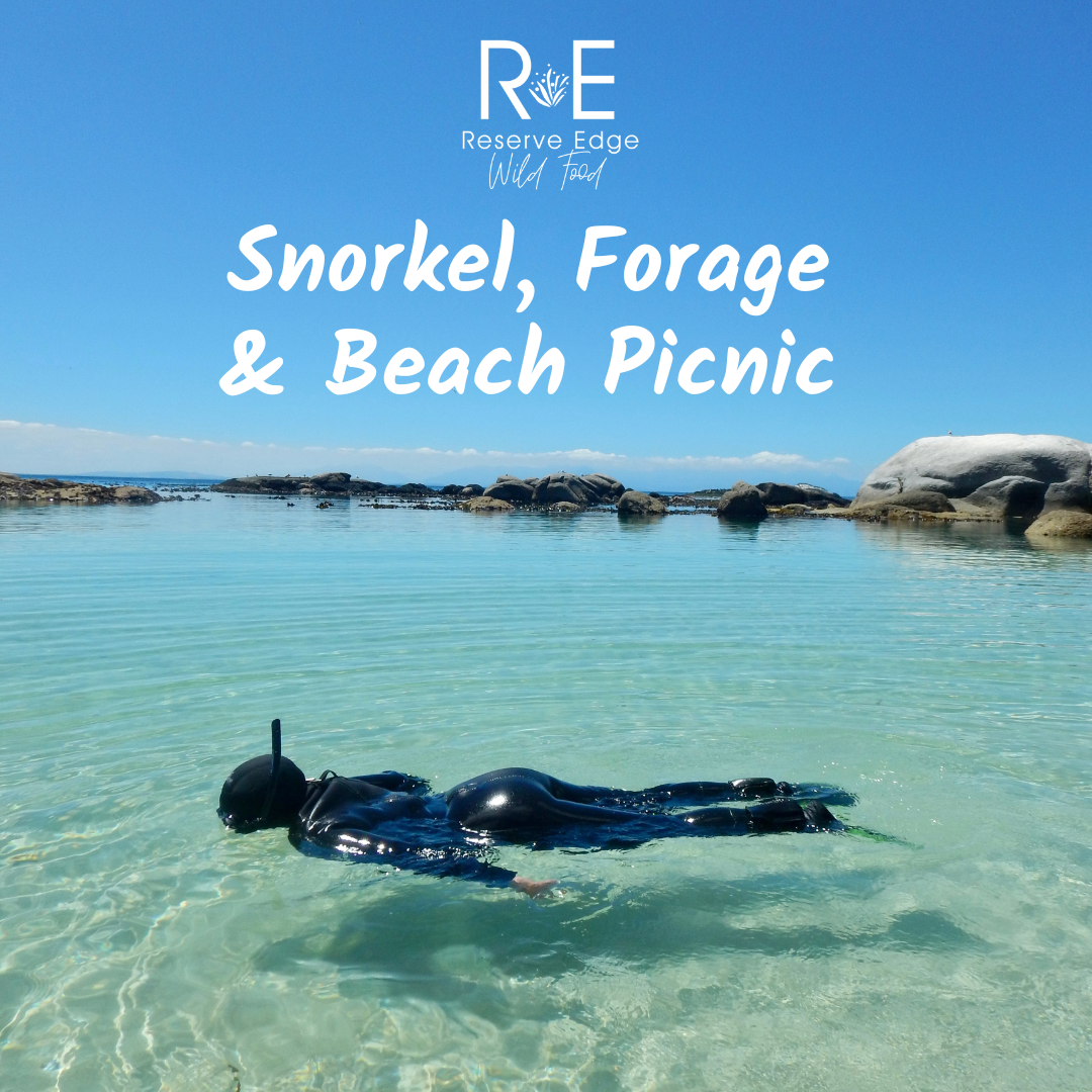 Snorkel, Forage and Picnic