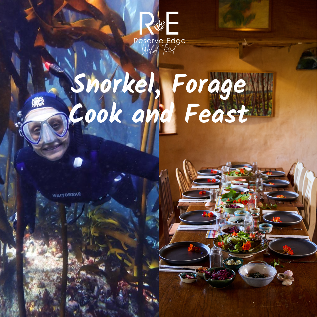 Snorkel, Forage, Cook and Lunch