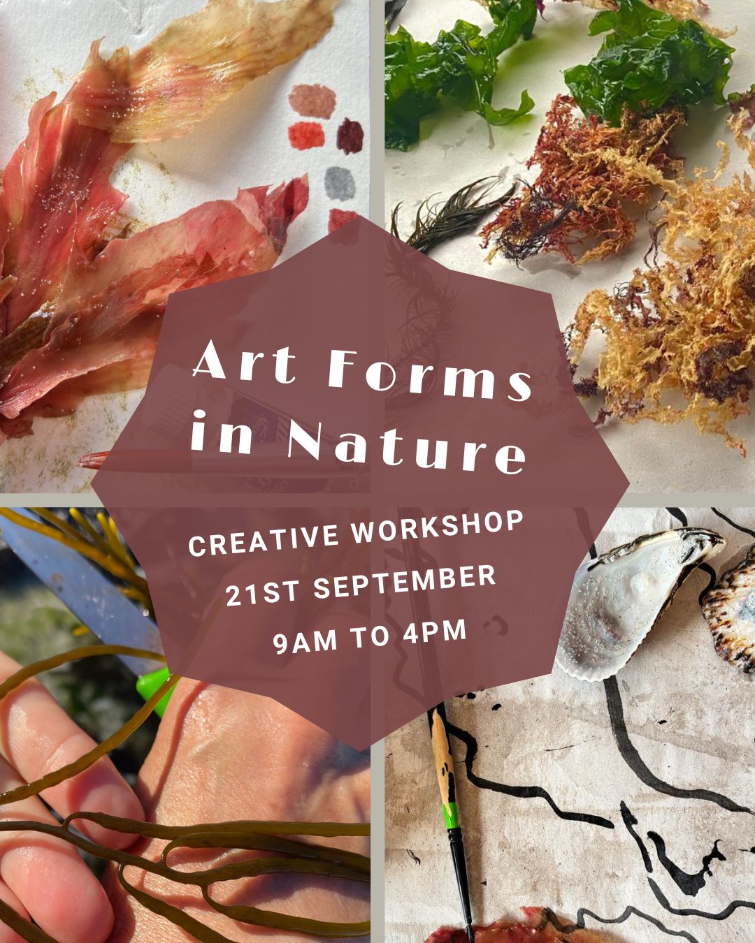 Art Forms in Nature - 21st September