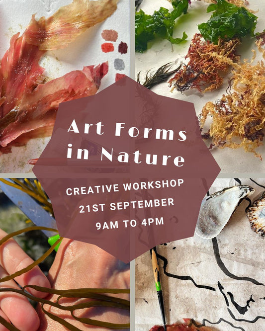Art Forms in Nature - 21st September
