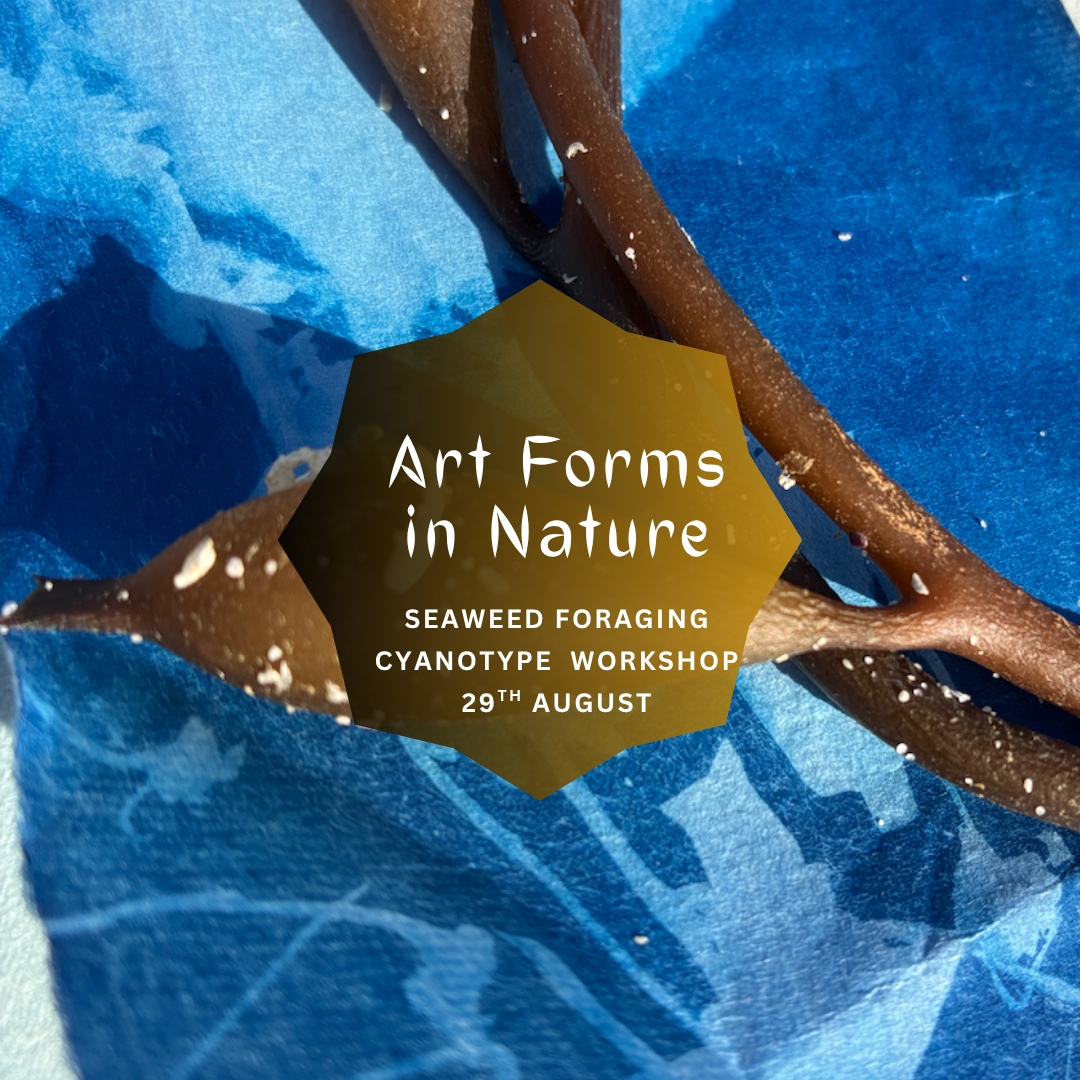 Seaweed Cyanotype Workshop - 29th August