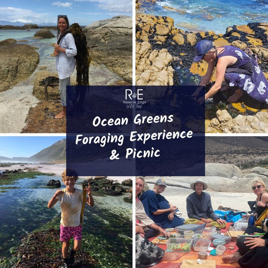 Ocean Greens Foraging Experience and Picnic