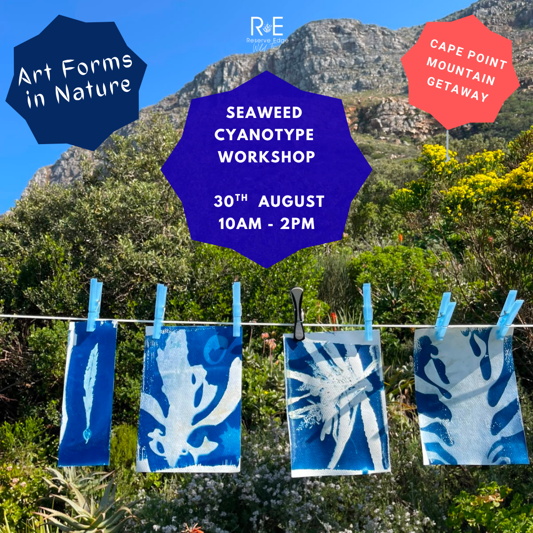 Seaweed Cyanotype Workshop