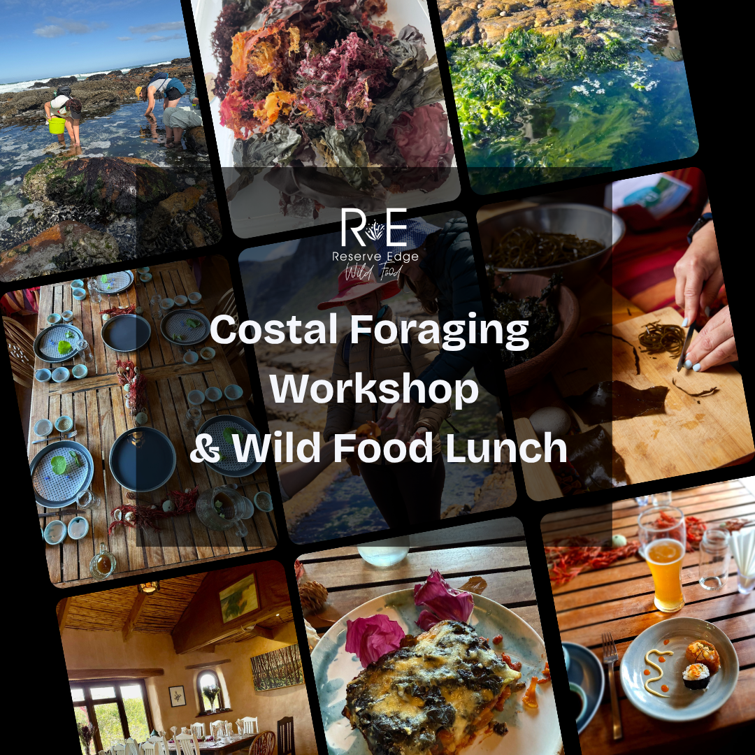 Coastal Foraging Workshop & Wild Food Paired Lunch - 10th January