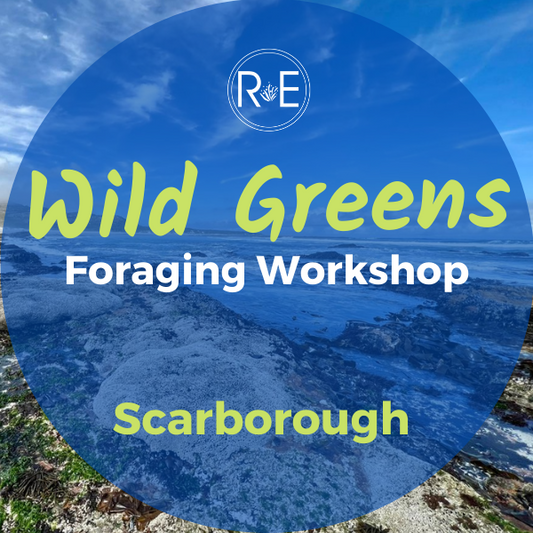 Foraging Wild Greens Workshop - private booking