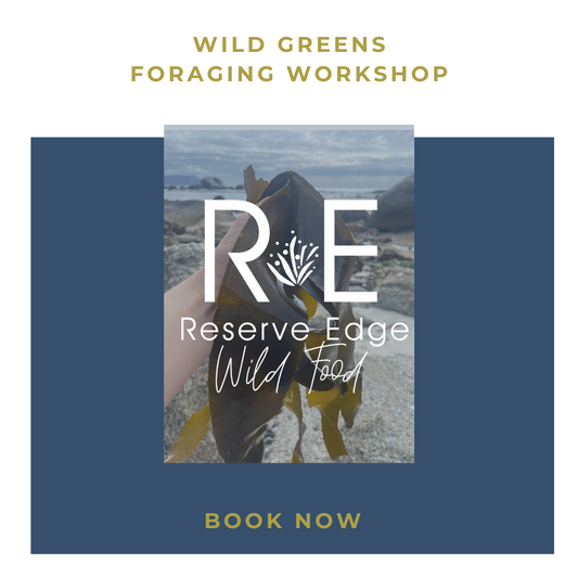 Wild Greens Foraging Workshop - 20th April