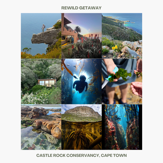 ReWild Getaways